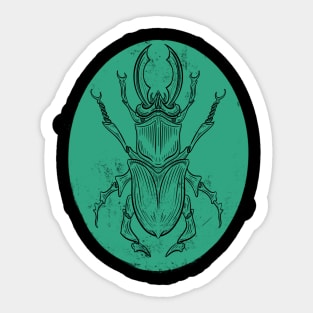 Green Beetle, vintage scientific drawing Sticker